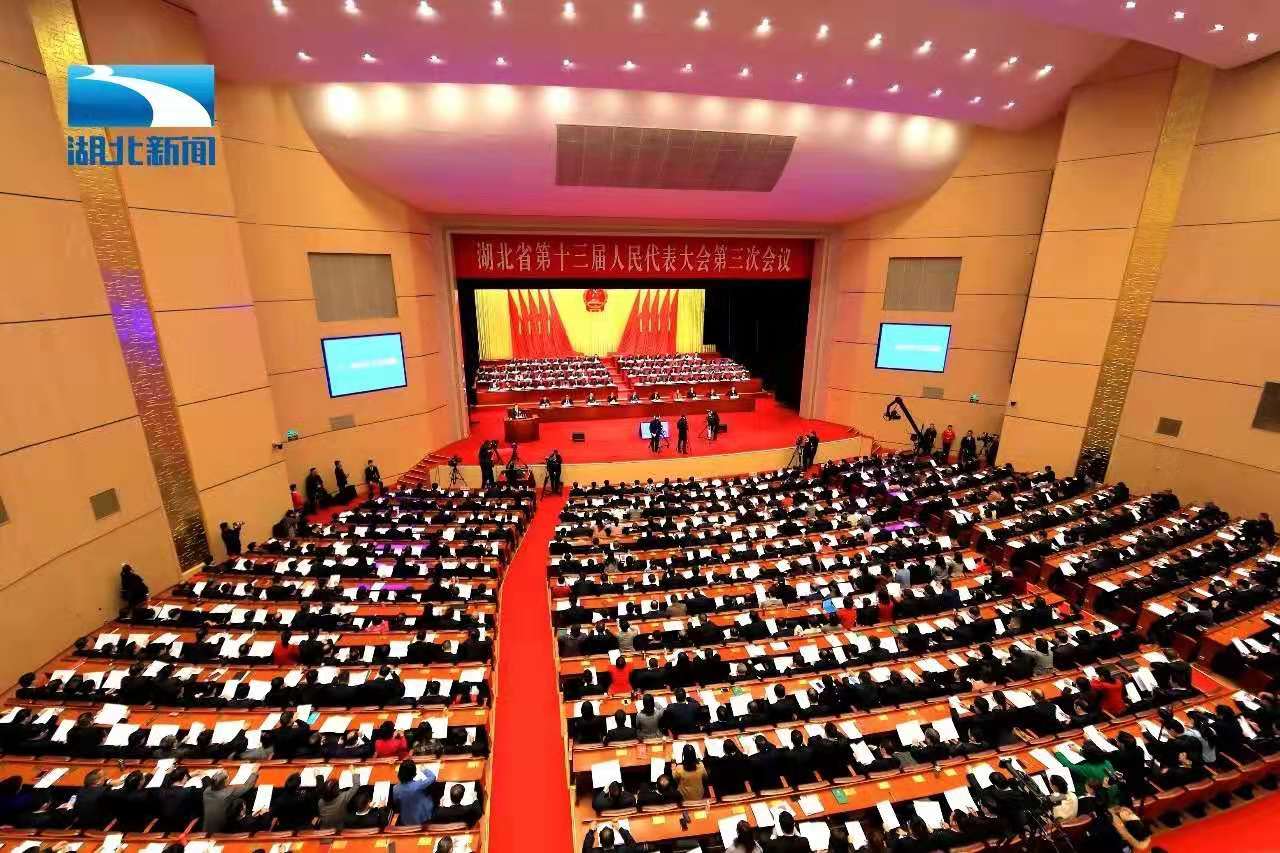 程力集团总经理作为人大代表参加湖北省十三届人大三次会议